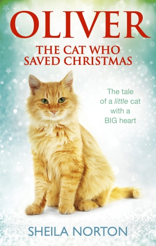 Book cover of Oliver The Cat Who Saved Christmas by Sheila Norton