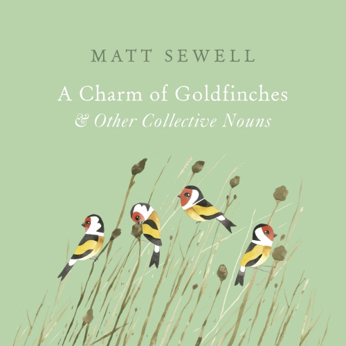 Book cover of A Charm of Goldfinches and Other Collective Nouns by Matt Sewell