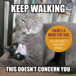 Book cover of Keep Walking, This Doesn’t Concern You