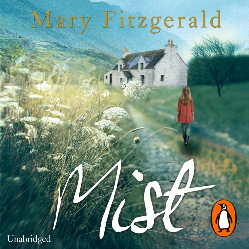 Book cover of Mist by Mary Fitzgerald