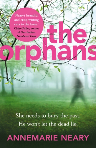 Book cover of The Orphans by Annemarie Neary