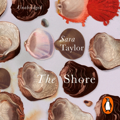 Book cover of The Shore by Sara Taylor