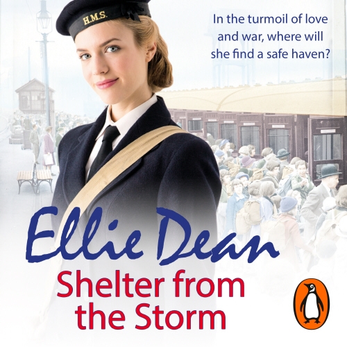 Book cover of Shelter from the Storm by Ellie Dean