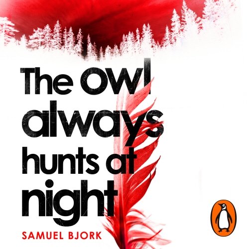Book cover of The Owl Always Hunts at Night by Samuel Bjork
