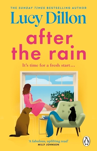 Book cover of After the Rain by Lucy Dillon
