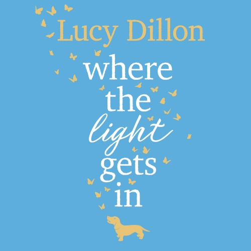 Book cover of Where The Light Gets In by Lucy Dillon