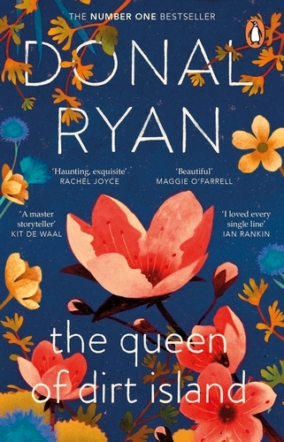 Book cover of The Queen of Dirt Island by Donal Ryan