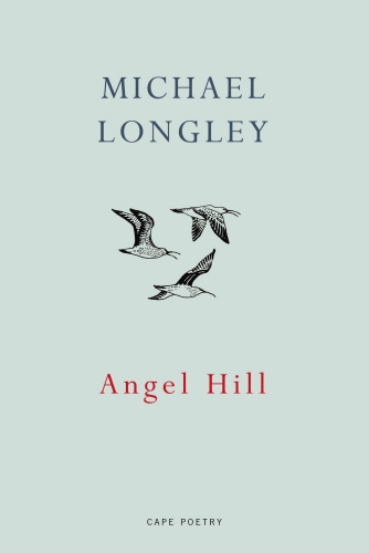Book cover of Angel Hill by Michael Longley