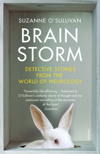 Book cover of Brainstorm by Suzanne O'Sullivan