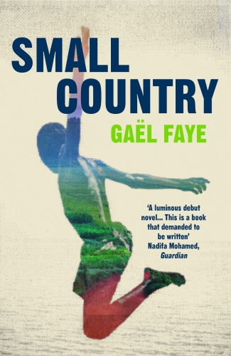 Book cover of Small Country by Gaël Faye