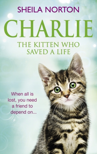 Book cover of Charlie the Kitten Who Saved A Life by Sheila Norton