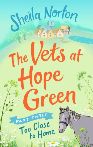 Book cover of #3 - The Vets at Hope Green: Part Three by Sheila Norton
