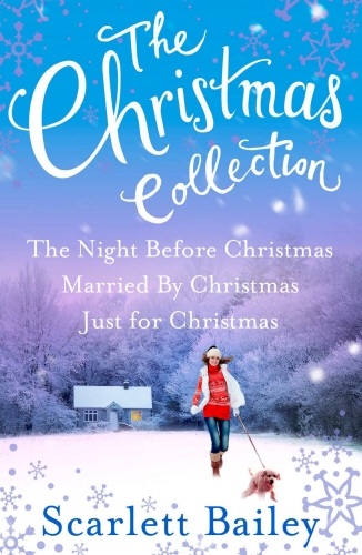 Book cover of The Christmas Collection by Scarlett Bailey