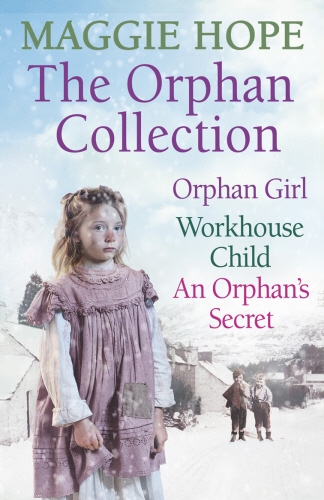 Book cover of The Orphan Collection by Maggie Hope