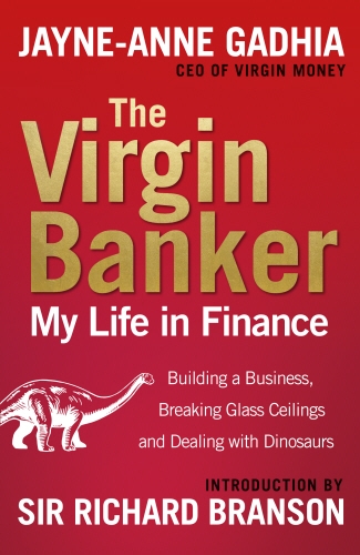 Book cover of The Virgin Banker by Jayne-Anne Gadhia