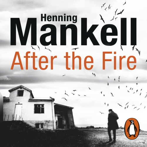 Book cover of After the Fire by Henning Mankell