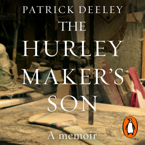 Book cover of The Hurley Maker's Son by Patrick Deeley