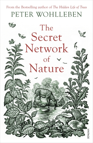 Book cover of The Secret Network of Nature by Peter Wohlleben