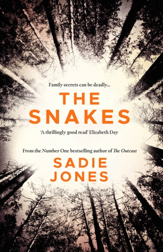 Book cover of The Snakes by Sadie Jones