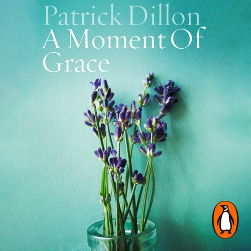 Book cover of A Moment of Grace by Patrick Dillon