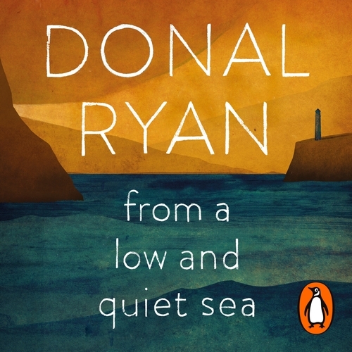 Book cover of From a Low and Quiet Sea by Donal Ryan