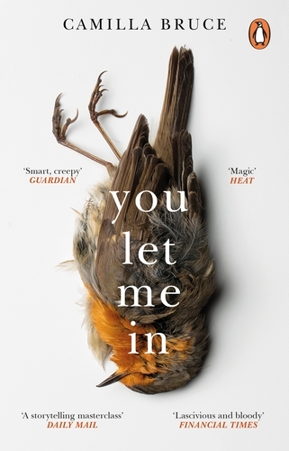 Book cover of You Let Me In by Camilla Bruce
