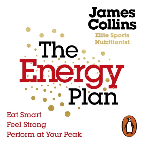 Book cover of The Energy Plan by James Collins