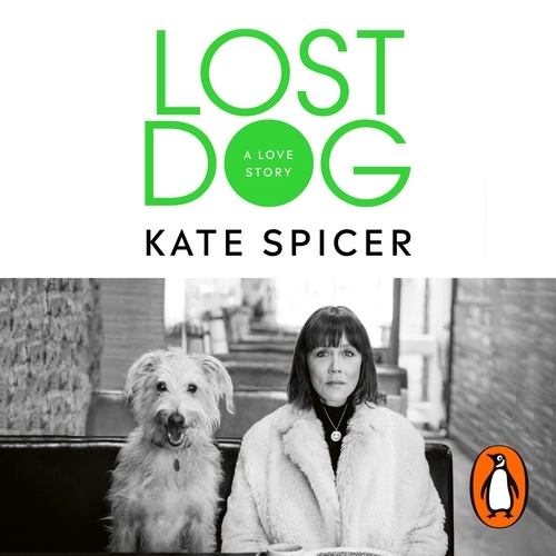 Book cover of Lost Dog by Kate Spicer