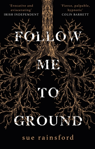 Book cover of Follow Me To Ground by Sue Rainsford
