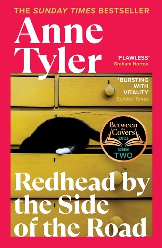 Book cover of Redhead by the Side of the Road by Anne Tyler
