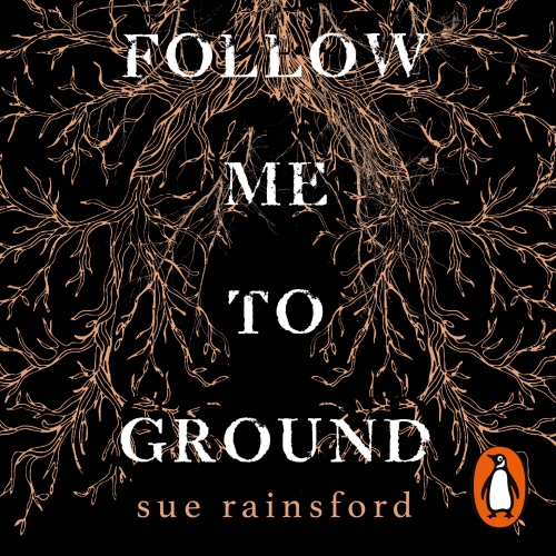 Book cover of Follow Me To Ground by Sue Rainsford