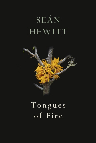 Book cover of Tongues of Fire by Seán Hewitt