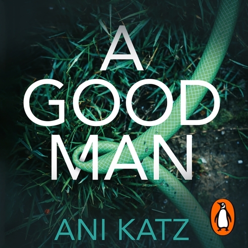 Book cover of A Good Man by Ani Katz