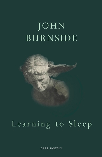 Book cover of Learning to Sleep by John Burnside