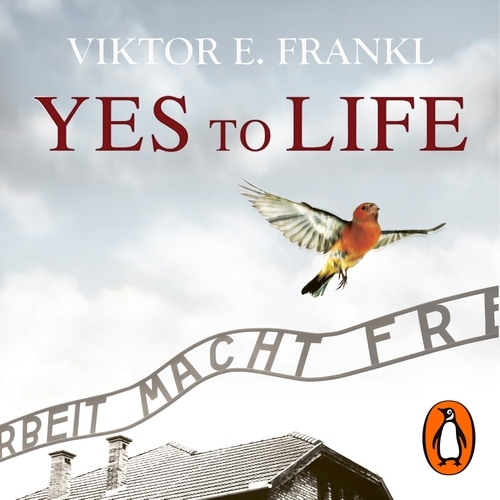 Book cover of Yes To Life In Spite of Everything by Viktor E Frankl