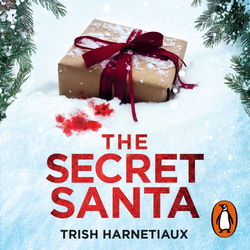 Book cover of The Secret Santa by Trish Harnetiaux
