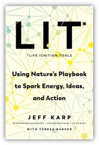 Book cover of LIT by Jeffrey Karp