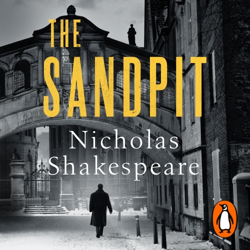 Book cover of The Sandpit by Nicholas Shakespeare