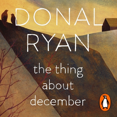Book cover of The Thing About December by Donal Ryan