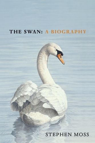 Book cover of The Swan by Stephen Moss