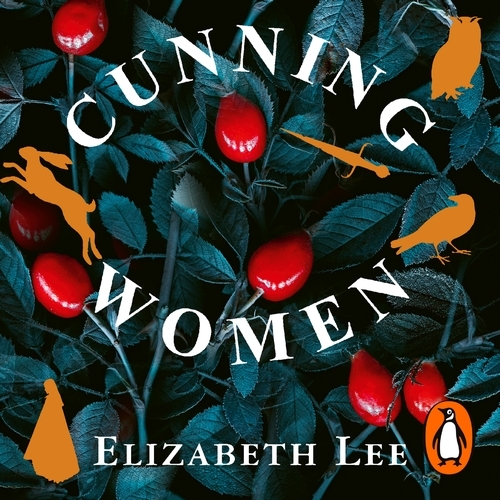 Book cover of Cunning Women by Elizabeth Lee