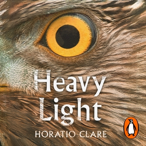 Book cover of Heavy Light by Horatio Clare