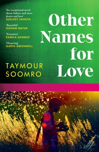 Book cover of Other Names for Love by Taymour Soomro