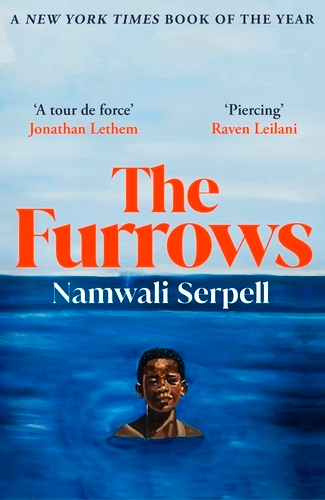Book cover of The Furrows by Namwali Serpell