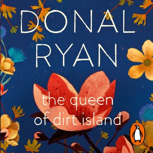 Book cover of The Queen of Dirt Island by Donal Ryan