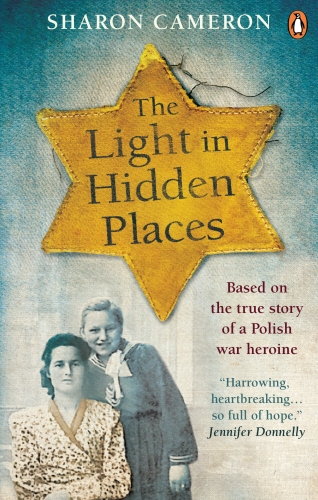Book cover of The Light in Hidden Places by Sharon Cameron