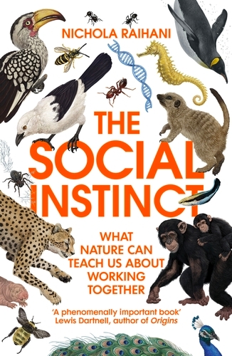 Book cover of The Social Instinct by Nichola Raihani