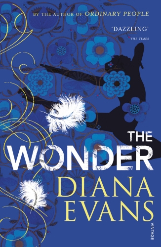 Book cover of The Wonder by Diana Evans