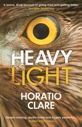Book cover of Heavy Light by Horatio Clare