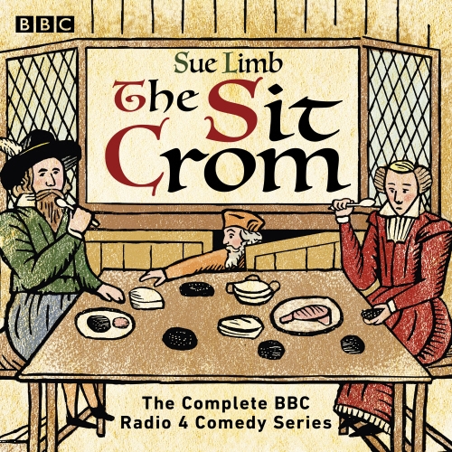 Book cover of The Sit Crom by Sue Limb